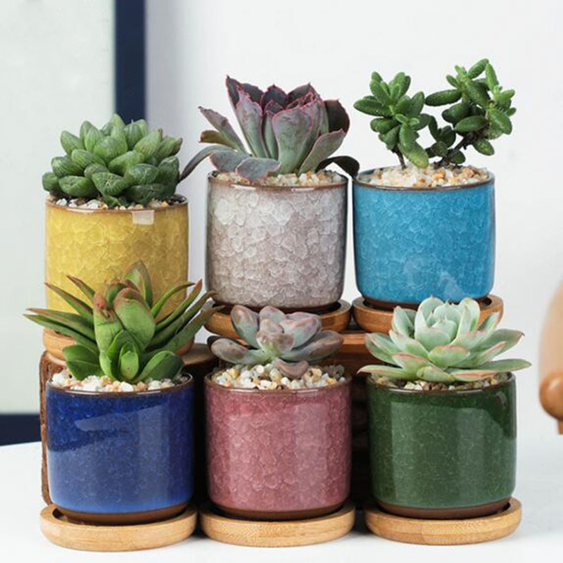 Plant Desk Mini - Ensemble de pots de fleurs en