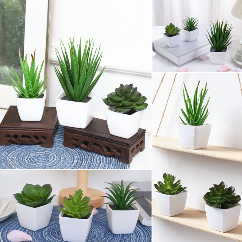 Plant Desk Mini - (Un ensemble de 3 pièces) de