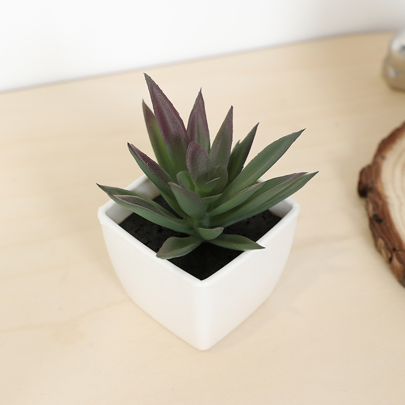 Plant Desk Mini - Mini tasse de fée succulente artificielle,
