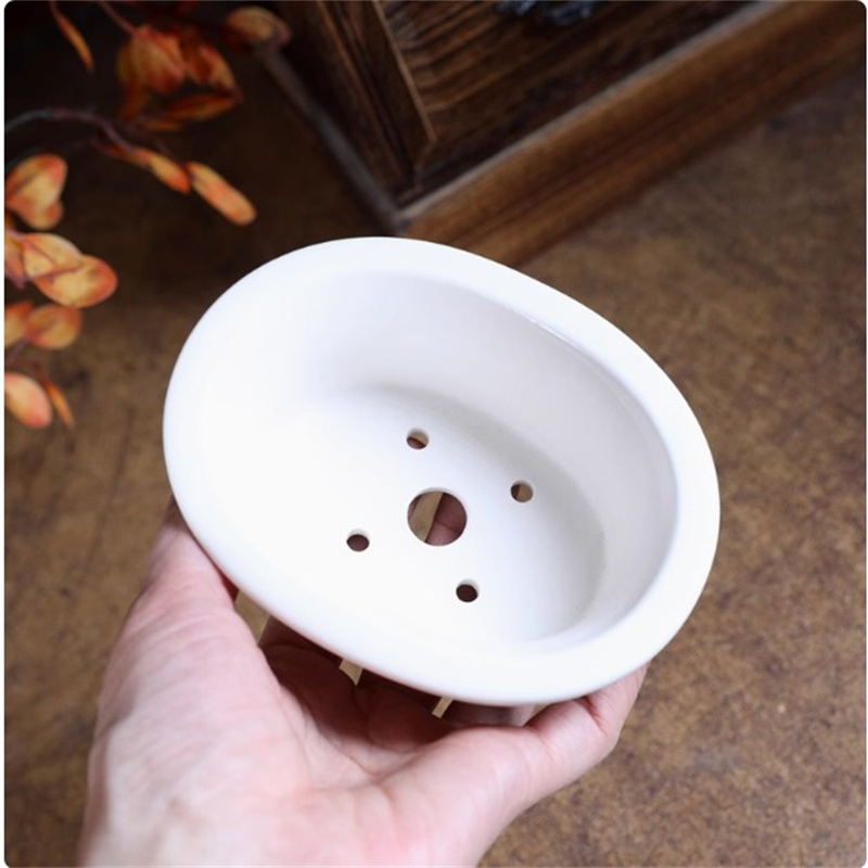 Pot à bonsaï ovale blanc en po - Plant Desk Mini avis et prix