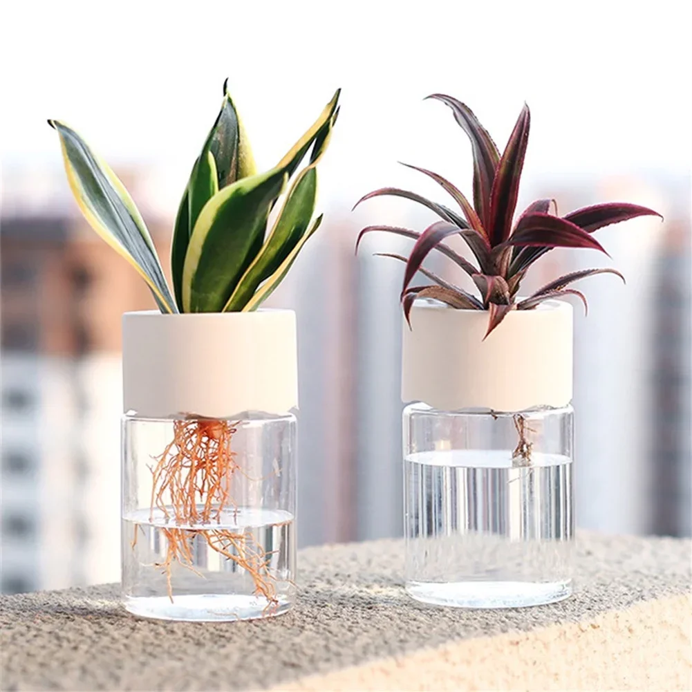 Mini pot de fleurs hydroponiqu - Plant Desk Mini avis et prix