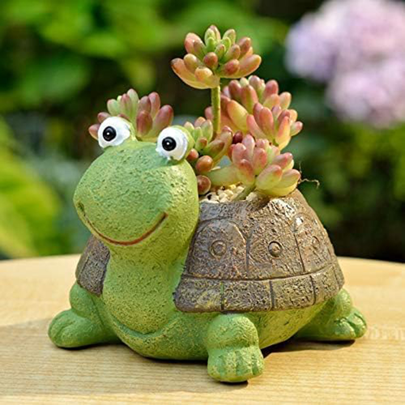 User inière de tortue bonsaï s - Plant Desk Mini avis et prix