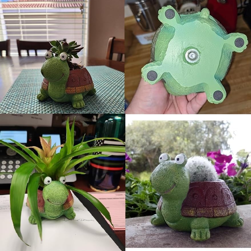 User inière de tortue bonsaï s - Plant Desk Mini avis et prix