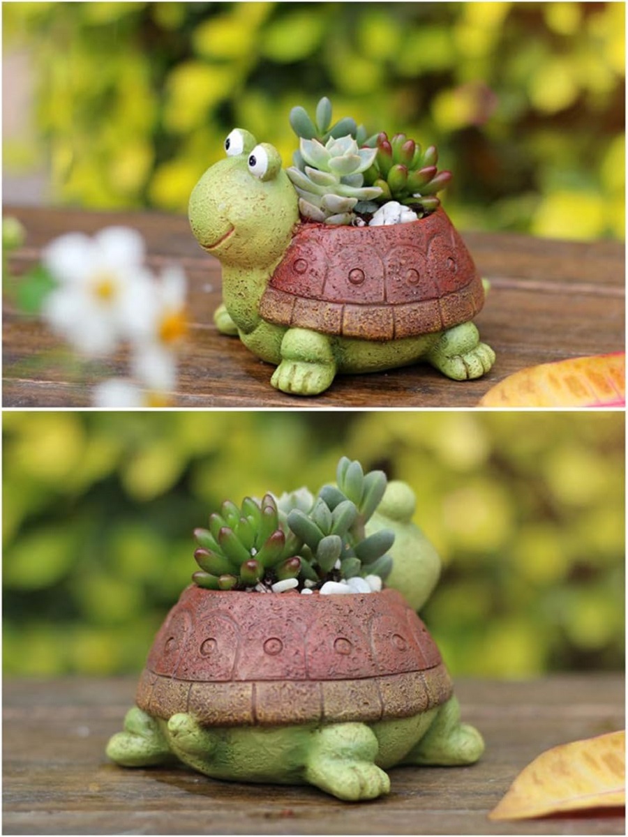 User inière de tortue bonsaï s - Plant Desk Mini avis et prix