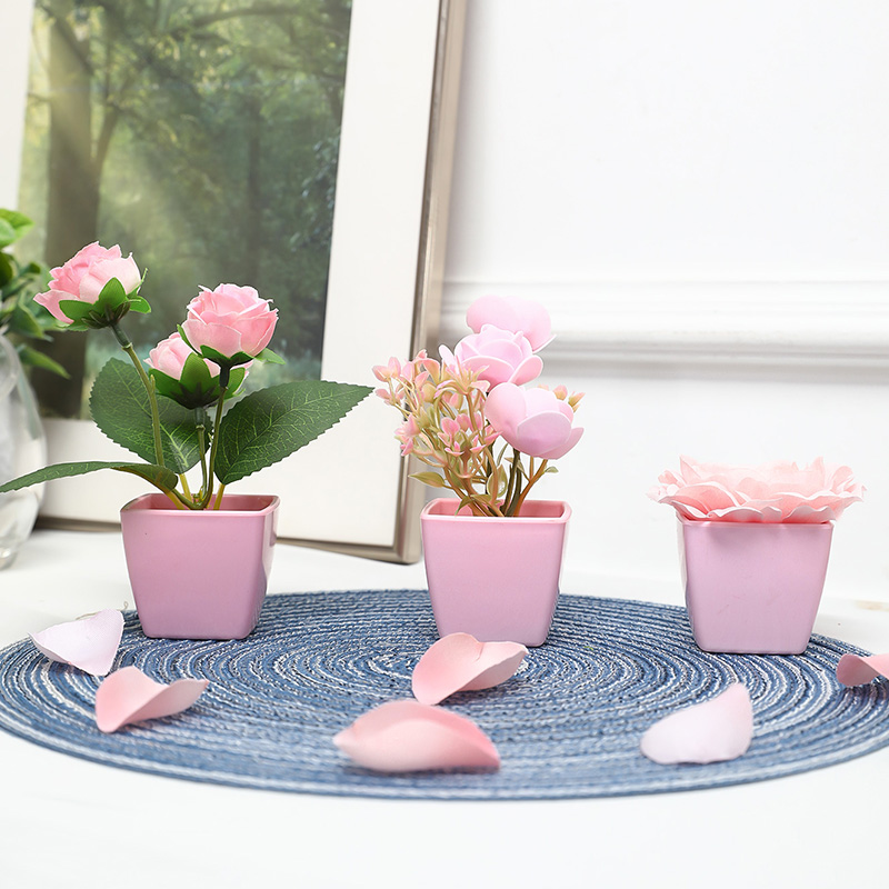 (Un ensemble de 3 pièces) de m - Plant Desk Mini avis et prix