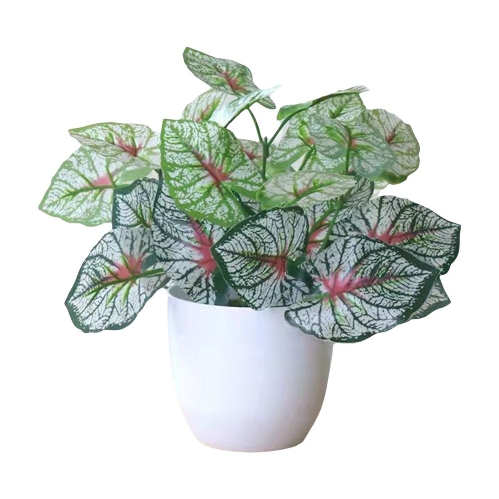 Mini fleurs artificielles en p - Plant Desk Mini avis et prix