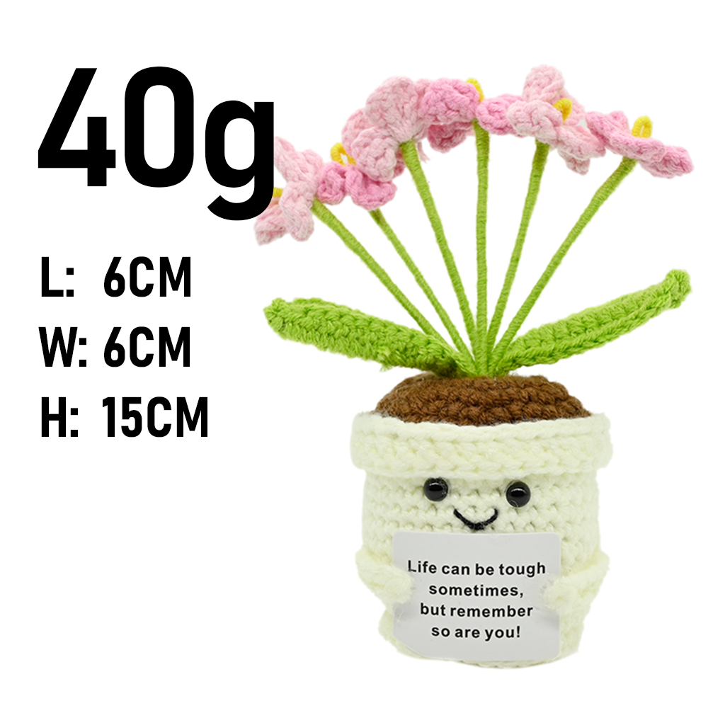 Pot de fleurs en crochet Plant - Plant Desk Mini avis et prix