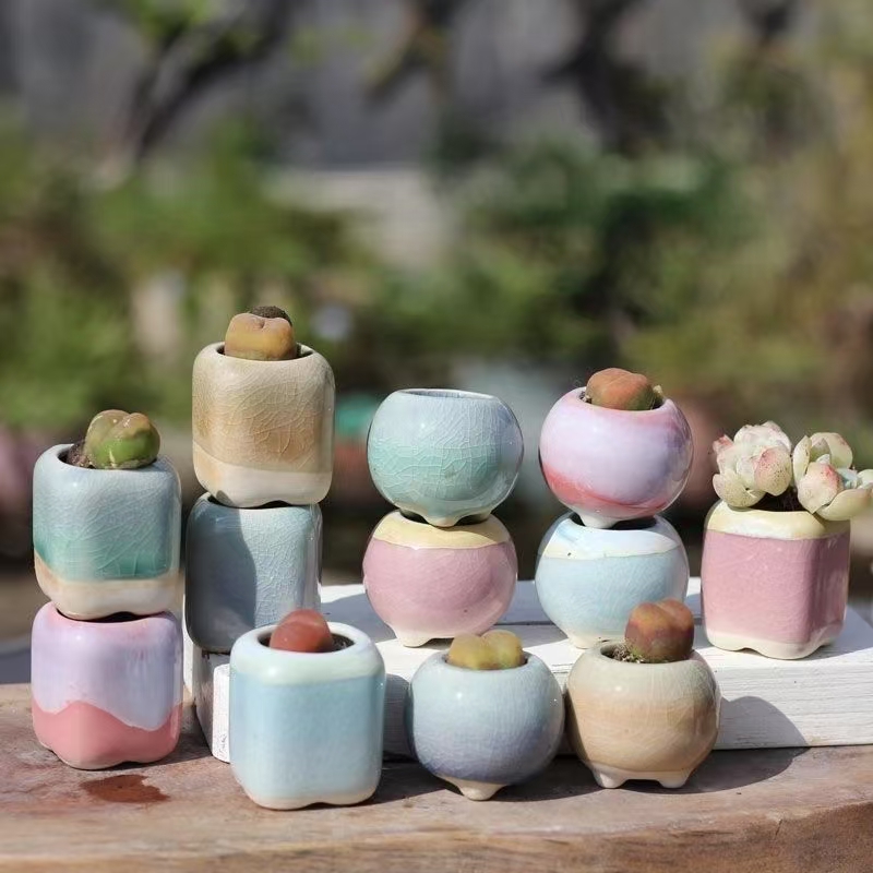 6 pièces Mini pot de fleurs su - Plant Desk Mini avis et prix